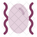 پیش‌نمایش فایل mirror-1875287 از پک هالووین