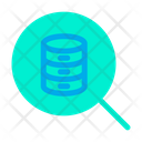 پیش‌نمایش فایل search-database-24 از پک شبکه و پایگاه داده – سبک فلت