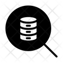 پیش‌نمایش فایل search-data-5 از پک شبکه و پایگاه داده – سبک گلیف