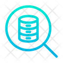 پیش‌نمایش فایل search-data-8 از پک شبکه و پایگاه داده – سبک خطی گرادیانی