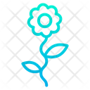 پیش‌نمایش فایل flower-1634 از پک عروسی