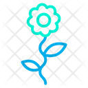 پیش‌نمایش فایل flower-1635 از پک عروسی