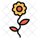 پیش‌نمایش فایل flower-1636 از پک عروسی