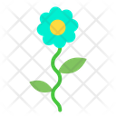 پیش‌نمایش فایل flower-1638 از پک عروسی