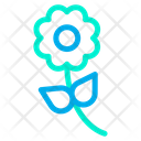 پیش‌نمایش فایل flower-1640 از پک طبیعت