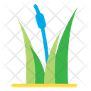 پیش‌نمایش فایل grass-113 از پک طبیعت