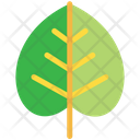 پیش‌نمایش فایل leaf-778 از پک طبیعت