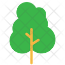پیش‌نمایش فایل tree-1407 از پک طبیعت