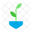 پیش‌نمایش فایل growth-778 از پک متفرقه