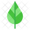 پیش‌نمایش فایل leaf-783 از پک متفرقه