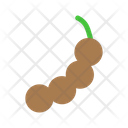 پیش‌نمایش فایل tamarind-13 از پک متفرقه