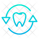 پیش‌نمایش فایل replant-teeth از پک دندانپزشکی