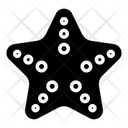 پیش‌نمایش فایل starfish-140 از پک تابستان