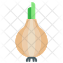پیش‌نمایش فایل onion-1441961 از پک میوه و سبزیجات