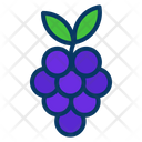 پیش‌نمایش فایل grapes-1442031 از پک میوه و سبزیجات