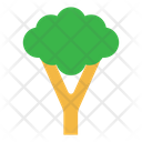 پیش‌نمایش فایل broccoli-1442370 از پک سالم