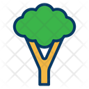 پیش‌نمایش فایل broccoli-1442395 از پک سالم