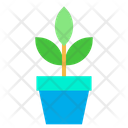 پیش‌نمایش فایل plant-1443216 از پک پارک