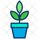 پیش‌نمایش فایل plant-1443291 از پک پارک