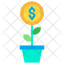 پیش‌نمایش فایل money-plant-1454466 از پک اقتصاد