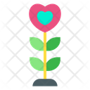 پیش‌نمایش فایل love-plant-1456185 از پک خیریه