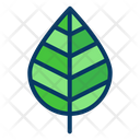 پیش‌نمایش فایل leaf-1458730 از پک فضای باز