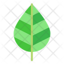 پیش‌نمایش فایل leaf-1458630 از پک فضای باز
