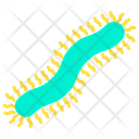 پیش‌نمایش فایل centipede-1595903 از پک حشرات