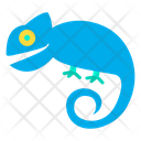 پیش‌نمایش فایل chameleon-1595937 از پک حشرات