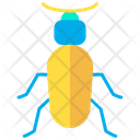 پیش‌نمایش فایل ground-beetle-1595930 از پک حشرات