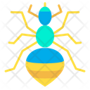 پیش‌نمایش فایل louse-1595925 از پک حشرات