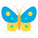 پیش‌نمایش فایل silk-butterfly-1595920 از پک حشرات