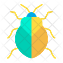 پیش‌نمایش فایل stinkbug-1595914 از پک حشرات