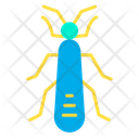 پیش‌نمایش فایل stonefly-1595913 از پک حشرات