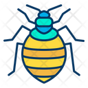 پیش‌نمایش فایل bed-bugs-1595975 از پک حشرات