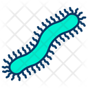 پیش‌نمایش فایل centipede-1596006 از پک حشرات