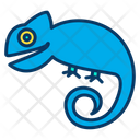 پیش‌نمایش فایل chameleon-1596005 از پک حشرات