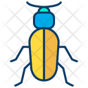 پیش‌نمایش فایل ground-beetle-1595998 از پک حشرات