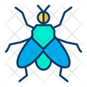 پیش‌نمایش فایل house-fly-1595997 از پک حشرات