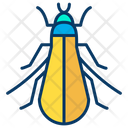 پیش‌نمایش فایل tree-cricket-1595979 از پک حشرات
