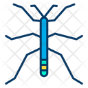 پیش‌نمایش فایل walkingstick-1595978 از پک حشرات