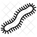 پیش‌نمایش فایل centipede-1596039 از پک حشرات