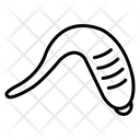 پیش‌نمایش فایل leech-1596028 از پک حشرات