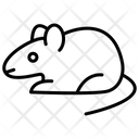 پیش‌نمایش فایل rat-1596023 از پک حشرات