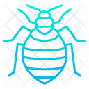 پیش‌نمایش فایل bed-bugs-1596045 از پک حشرات