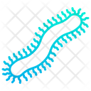 پیش‌نمایش فایل centipede-1596076 از پک حشرات