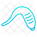 پیش‌نمایش فایل leech-1596065 از پک حشرات