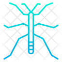 پیش‌نمایش فایل walkingstick-1596048 از پک حشرات