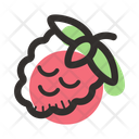 پیش‌نمایش فایل raspberry-1591713 از پک میوه و سبزیجات