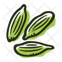 پیش‌نمایش فایل green-cardamom-1718902 از پک ادویه های رنگی